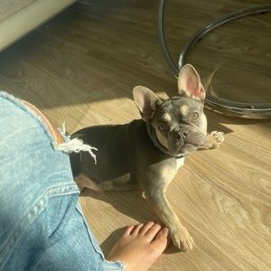 Meet your Posher, Jonathan